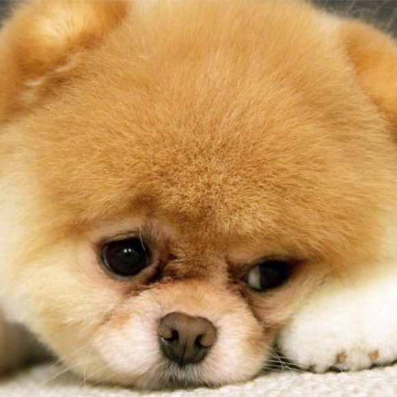 Meet your Posher, Keyami - Picture 1 of 1